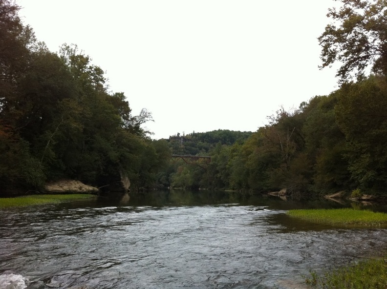 Blue Heron_ Big South Fork.jpg